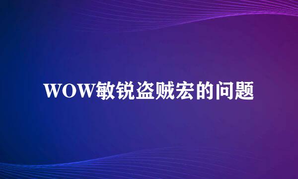 WOW敏锐盗贼宏的问题