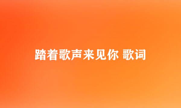 踏着歌声来见你 歌词