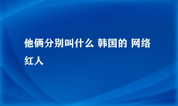 他俩分别叫什么 韩国的 网络红人