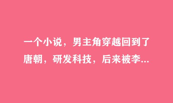 一个小说，男主角穿越回到了唐朝，研发科技，后来被李世民逼迫的造反了！他的媳妇之中有一个也是穿越的。