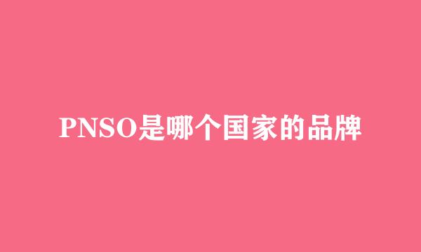 PNSO是哪个国家的品牌