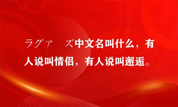 ラグァーズ中文名叫什么，有人说叫情侣，有人说叫邂逅。