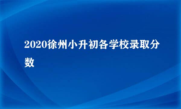 2020徐州小升初各学校录取分数