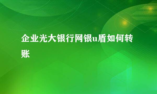 企业光大银行网银u盾如何转账