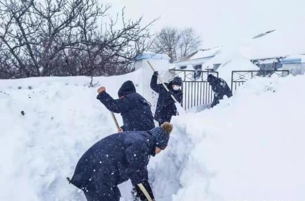 极寒暴风雪冰封通辽，通辽下了多厚的雪呢？