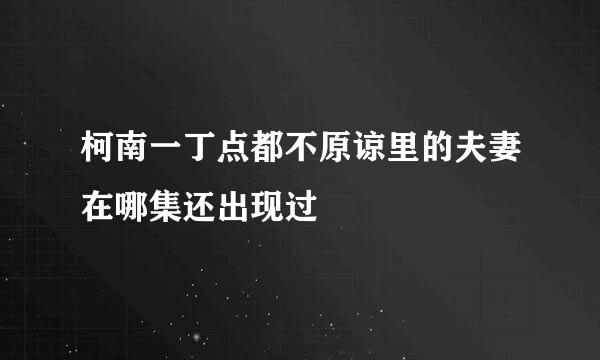 柯南一丁点都不原谅里的夫妻在哪集还出现过