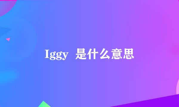 Iggy  是什么意思