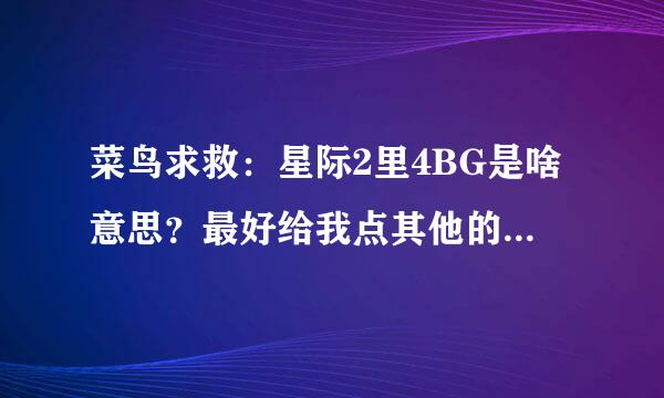 菜鸟求救：星际2里4BG是啥意思？最好给我点其他的星际2术语啊（带解释）