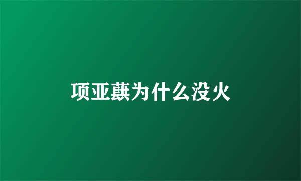 项亚蕻为什么没火