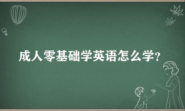 成人零基础学英语怎么学？