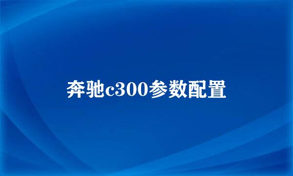 奔驰c300参数配置