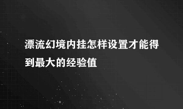 漂流幻境内挂怎样设置才能得到最大的经验值