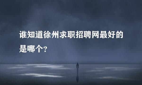 谁知道徐州求职招聘网最好的是哪个？