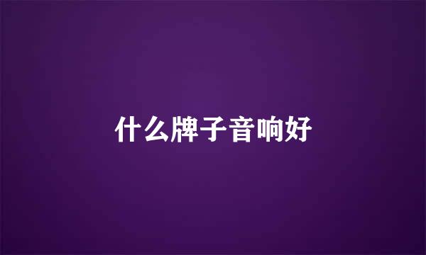 什么牌子音响好