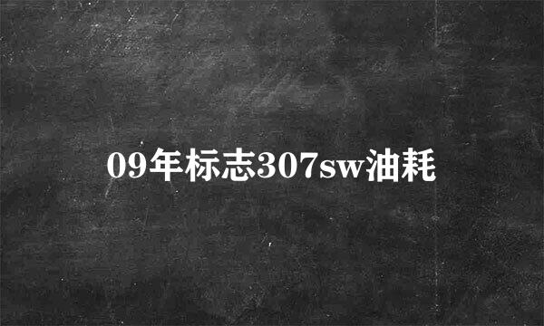 09年标志307sw油耗