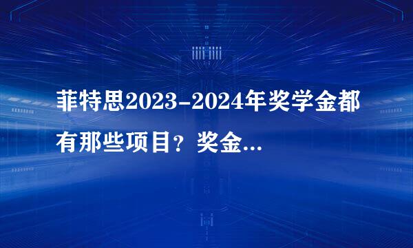 菲特思2023-2024年奖学金都有那些项目？奖金多少呀？