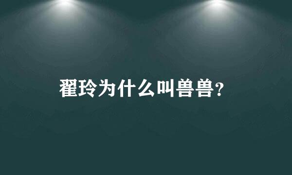 翟玲为什么叫兽兽？