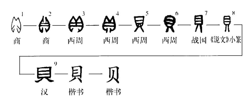 贝的故事？