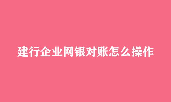 建行企业网银对账怎么操作