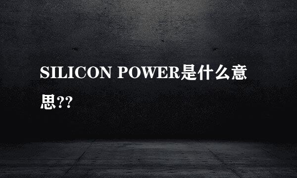 SILICON POWER是什么意思??