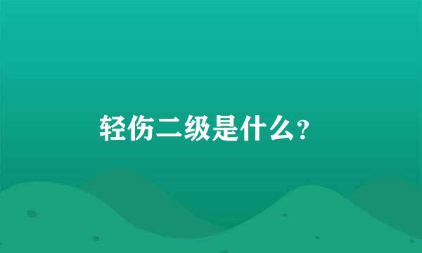 轻伤二级是什么？