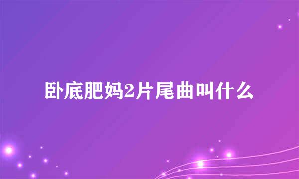 卧底肥妈2片尾曲叫什么