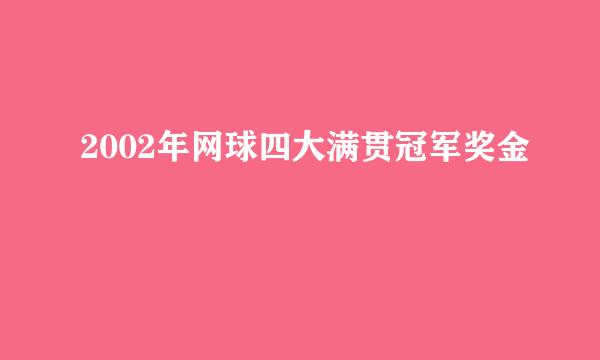 2002年网球四大满贯冠军奖金