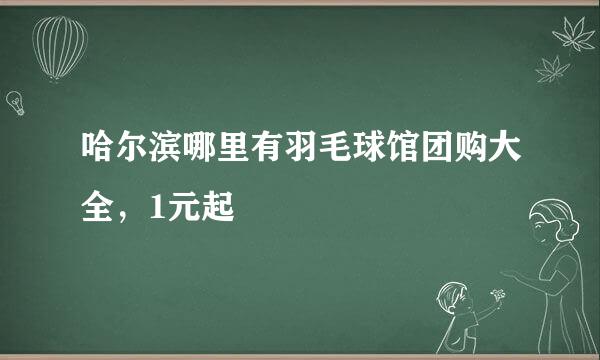 哈尔滨哪里有羽毛球馆团购大全，1元起