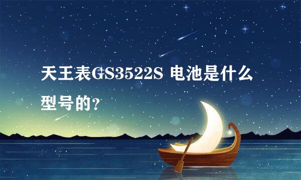 天王表GS3522S 电池是什么型号的？