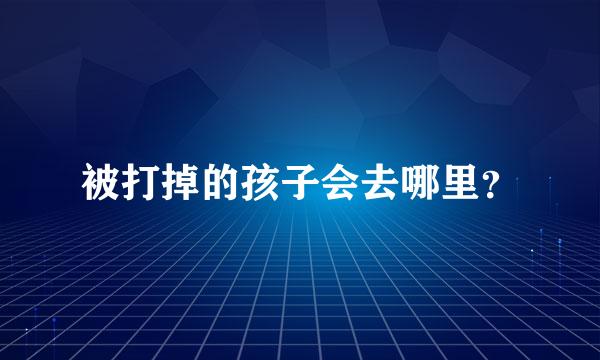 被打掉的孩子会去哪里？