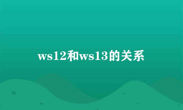 ws12和ws13的关系