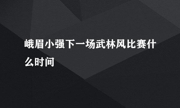 峨眉小强下一场武林风比赛什么时间