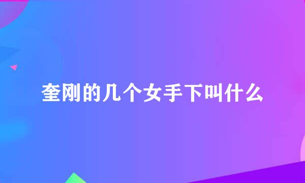 奎刚的几个女手下叫什么