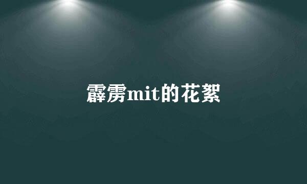 霹雳mit的花絮