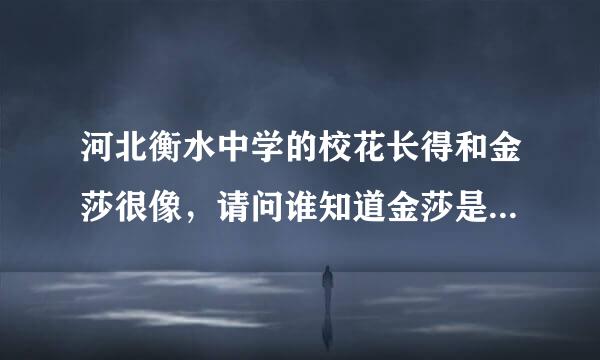 河北衡水中学的校花长得和金莎很像，请问谁知道金莎是什么高中毕业的