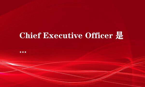 Chief Executive Officer 是什么意思嘛？