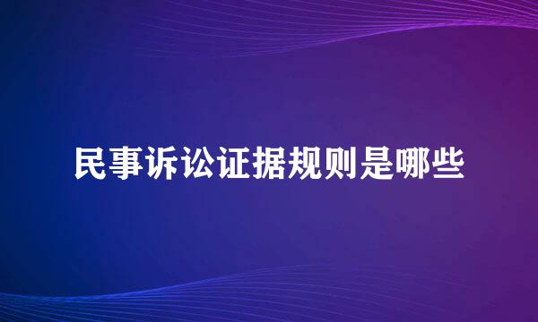 民事诉讼证据规则是哪些