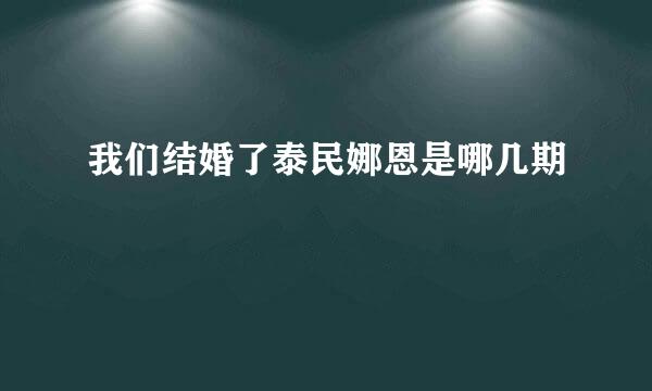 我们结婚了泰民娜恩是哪几期