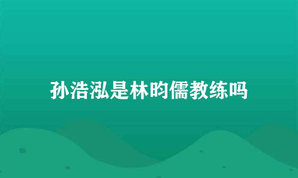 孙浩泓是林昀儒教练吗