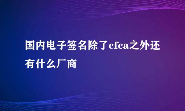 国内电子签名除了cfca之外还有什么厂商