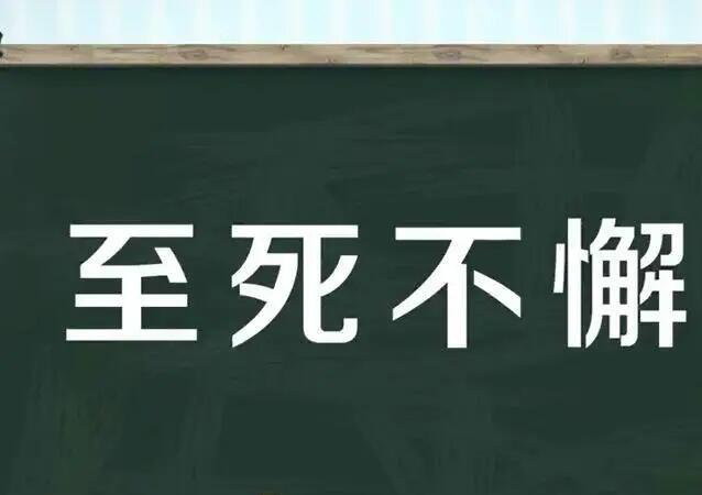 九死不悔是什么意思