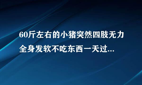 60斤左右的小猪突然四肢无力全身发软不吃东西一天过后死亡这是什么病