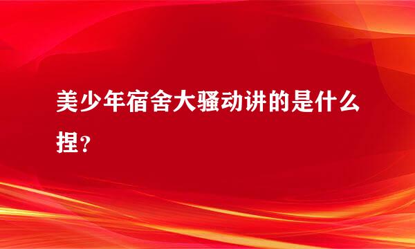 美少年宿舍大骚动讲的是什么捏？