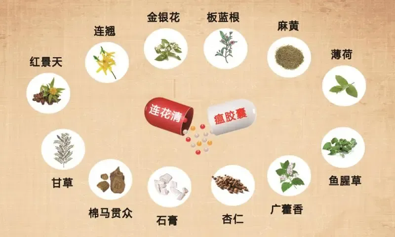 莲花清瘟胶囊的药品成分是怎样的？其功效有哪些？