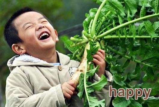 happy的中文意思是什么