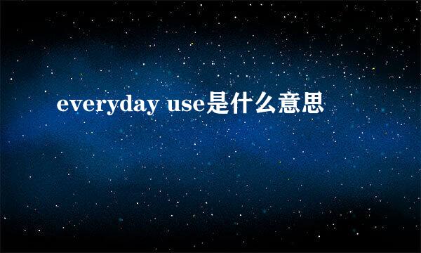 everyday use是什么意思