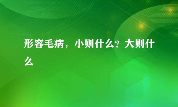 形容毛病，小则什么？大则什么