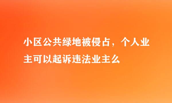 小区公共绿地被侵占，个人业主可以起诉违法业主么