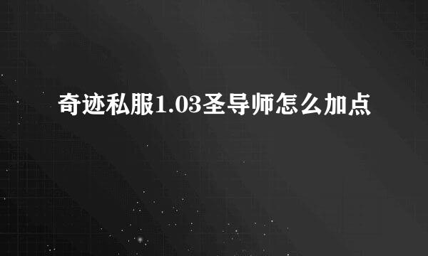 奇迹私服1.03圣导师怎么加点