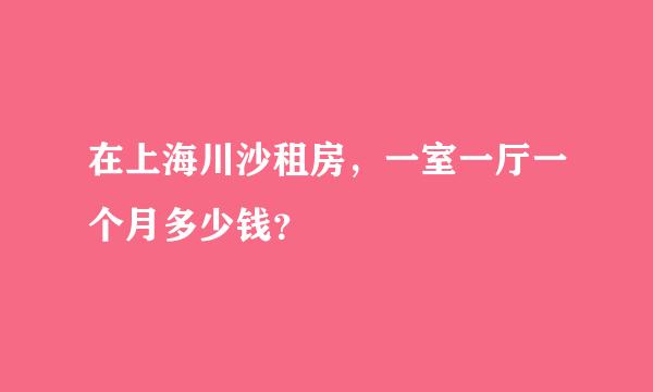 在上海川沙租房，一室一厅一个月多少钱？